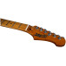 JET JS-300 BK - Электрогитара шестиструнная JET JS-300 BK - Электрогитара шестиструнная