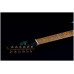 JET JS-400 BK G - Электрогитара шестиструнная JET JS-400 BK G - Электрогитара шестиструнная