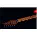 JET JS-850 Relic FR - Электрогитара шестиструнная JET JS-850 Relic FR - Электрогитара шестиструнная