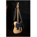 JET JT-30 Gold - Электрогитара шестиструнная JET JT-30 Gold - Электрогитара шестиструнная